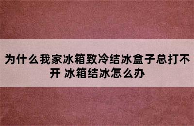 为什么我家冰箱致冷结冰盒子总打不开 冰箱结冰怎么办